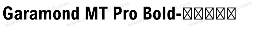 Garamond MT Pro Bold字体转换
